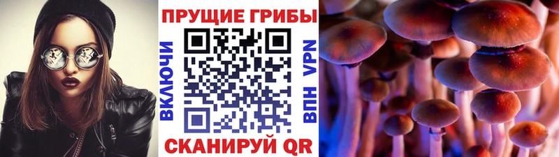 наркота  Велиж  Галлюциногенные грибы мухоморы 